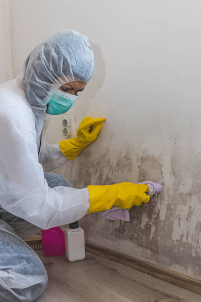 Forensic Mold Investigation